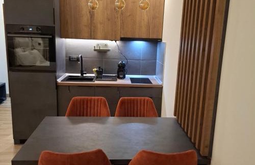 Kopaonik Apartment | ViS