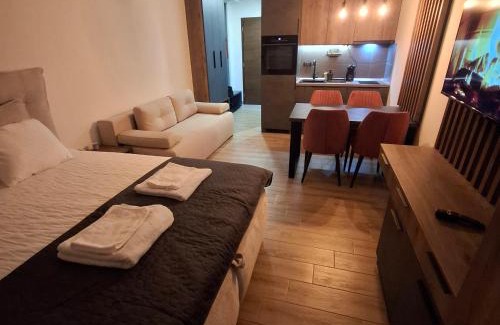 Kopaonik Apartment | ViS