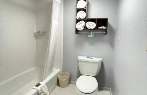 San Carlos House | Visit the San Francisco Bay Area near our rooms !