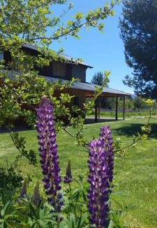 Las Golondrinas Ski Chalet | Vista al Piltriquitron