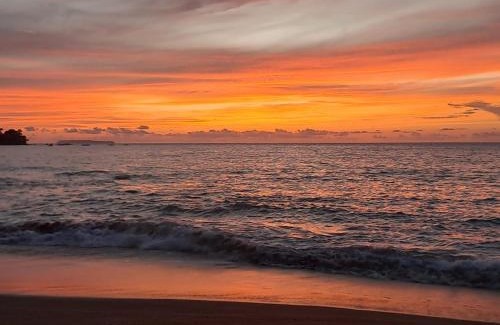 Drake Bay Hotel | Vista Alta Ecolodge Bahia Drake