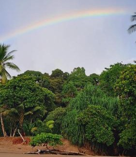 Drake Bay Hotel | Vista Alta Ecolodge Bahia Drake