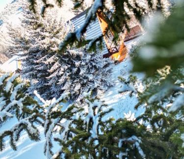 Lisina Ski Chalet | Vista Mountain House