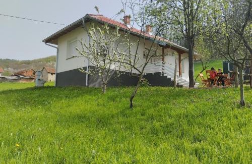 Central Serbia Villa | Vitovnicki Mir