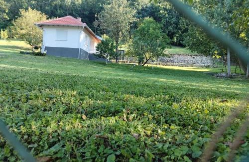 Central Serbia Villa | Vitovnicki Mir