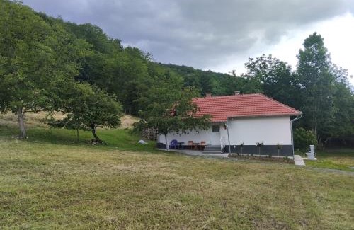 Central Serbia Villa | Vitovnicki Mir