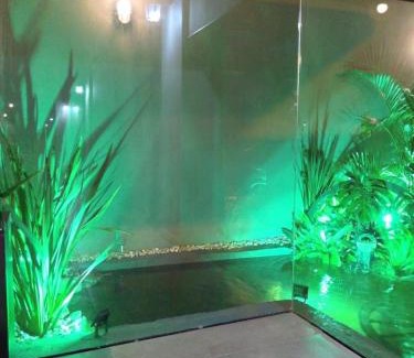Florianopolis House | Vivatemporada-Residencial sea view and sunset