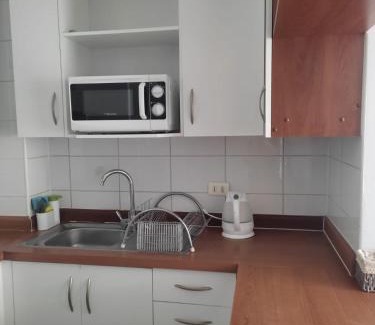 Bellavista Apartment | Vivir en Santiago