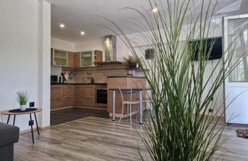 Druskininkai Apartment | VK Duplex Apartment