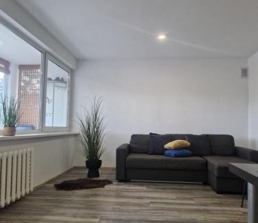 Druskininkai Apartment | VK Duplex Apartment