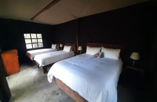 Bela-Bela Other | VlakkiesKraal Bosbok Camp