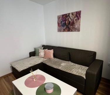 Vrsac Apartment | Vlasic Apartmani HANA