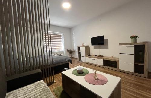 Vrsac Apartment | Vlasic Apartmani HANA