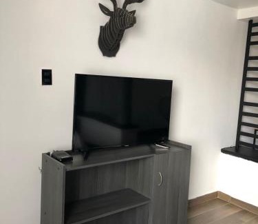 Monterrey Hotel | VN Hotel