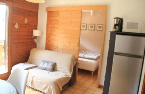 Chatel Apartment | VOINETTES VNB8 TELECABINE & MOUNTAIN 4 Pers