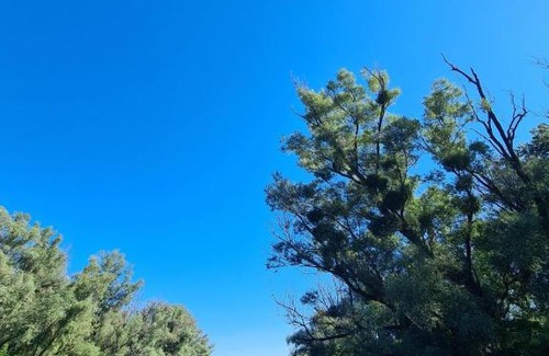 Vojvodina Apartment | Vojkić Ranč