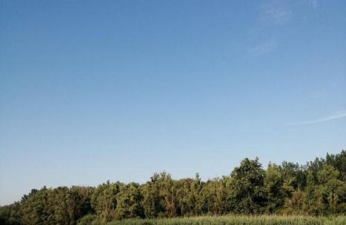 Vojvodina Apartment | Vojkić Ranč