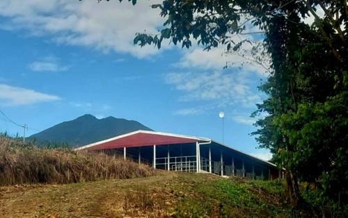 San Rafael de Guatuso Other | Volcano Tenorio Glamping Ranch - 3 Tents