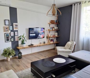 Bajina Basta Apartment | VP