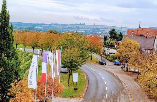 Schweigen-Rechtenbach Apartment | Vrbo Property