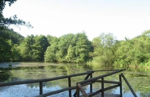 Nettersheim Apartment | Vrbo Property