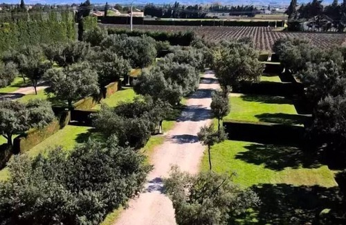 Violes House | Vrbo Property