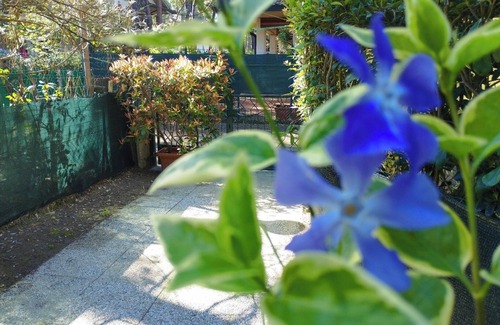 Marina Romea Apartment | Vrbo Property