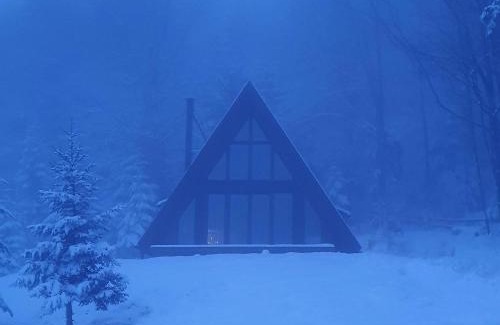 Konjska Reka House | Vrleti Tare