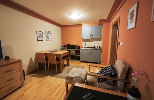Jahorina Apartment | Vučko Apartment 107 Jahorina