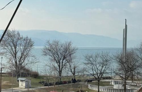 Donji Milanovac Apartment | Vuk Apartman