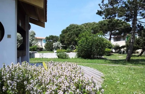 Ars-en-Re Apartment | VVF Résidence Île de Ré Ars-en-Ré * - 3 Rooms 4 People 1 baby Floor
