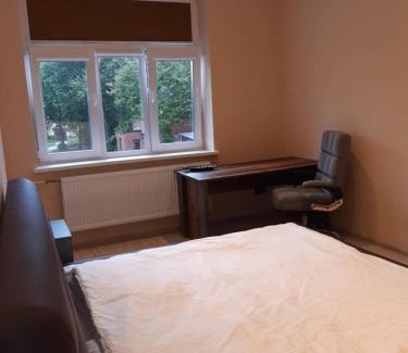 Panevezys county Apartment | Vytauto Apartamentai