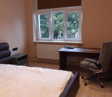 Panevezys county Apartment | Vytauto Apartamentai