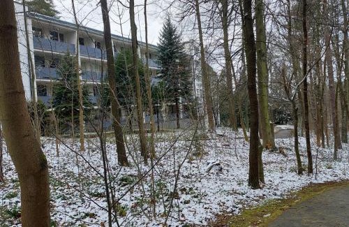 Polanica-Zdroj Apartment | W KORONACH DRZEW Apartamenty Polanica-Zdrój