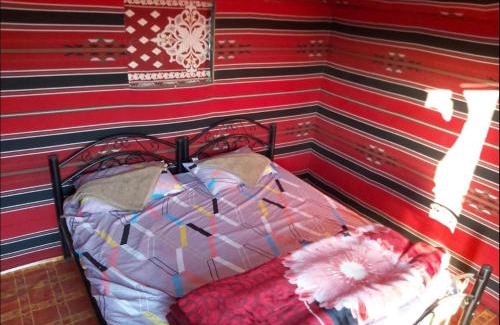 Wadi Rum Bed & Breakfast | Wadi Rum Desert Stars