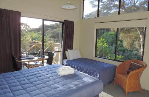 Oneroa Cabin | Waiheke Island Punga Lodge