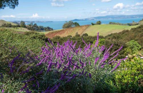 Waiheke Island Ski Chalet | Waiheke Luxury Blue and Green Rooms