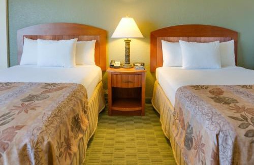 Waikiki Hotel | Waikiki Malia