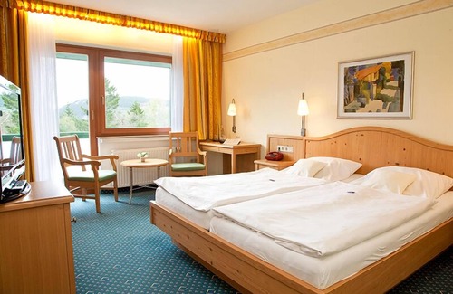 Willingen Hotel | Wald Hotel Willingen