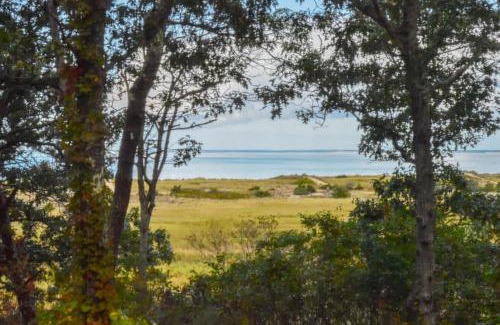 Brewster House | Walk to beach Secluded and private home and backyard