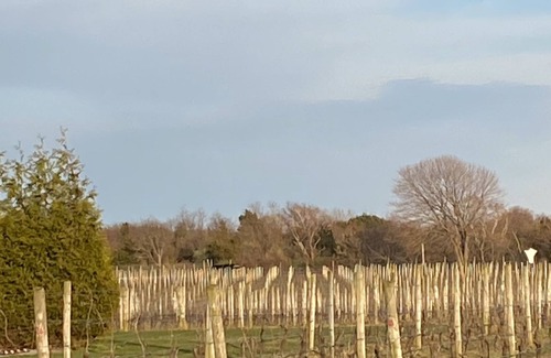 Southold House | Walk to train and town