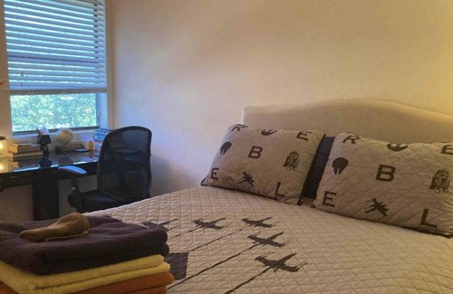 Barton Heights Apartment | Walkable close to Downtown Neighborhood 78704 at it's best.