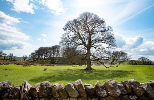 Brampton House | Walltown Farm Cottage