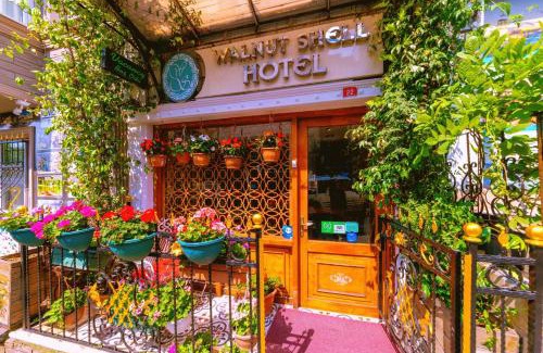 Sultanahmet Hotel | Walnut Shell Hotel