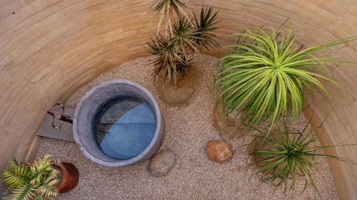 Todos Santos Hotel | WAMA Boutique Hotel