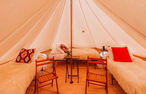 Port Angeles Other | Wander Camp Olympic