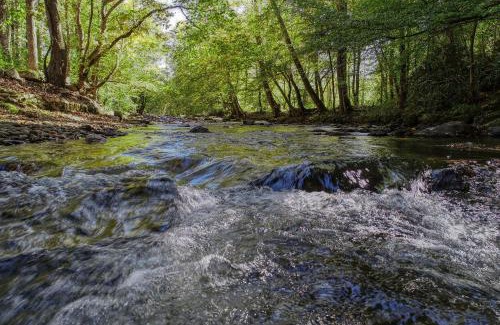 Cosby House | Wandering Creek Cabin