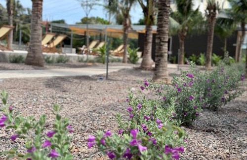 East Ham Tien Beach Hotel | Wanderlust garden inn