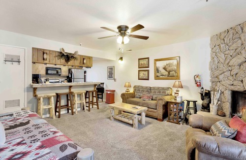 Summit Estates Condo | Warm Brownie #2133