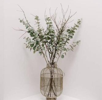 Culburra Beach House | Water's Edge